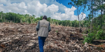 La Profepa impuso una clausura total temporal a un predio de Playa del Carmen, Quintana Roo, donde detectó la remoción de vegetación forestal en 14 mil 632 metros cuadrados.