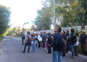 Impulsa Gobierno de Quintana Roo la participación ciudadana en la primera Pajareada de “Tras las Alas de la Biodiversidad”