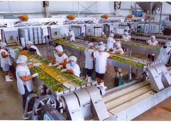 Yucatán acelera su actividad industrial y sube al quinto lugar