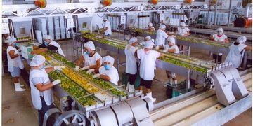 Yucatán acelera su actividad industrial y sube al quinto lugar
